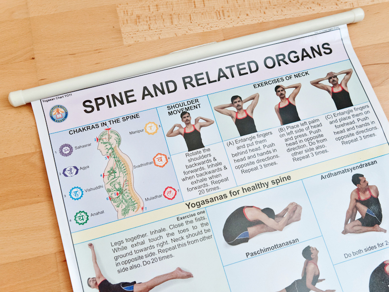 Spine & Related Organs